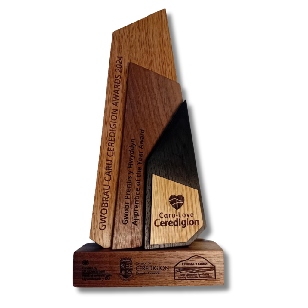 Winner of Apprentice of the Year Award Jason Vale (Needle Rock | Remarkable Upholstery) WINNER